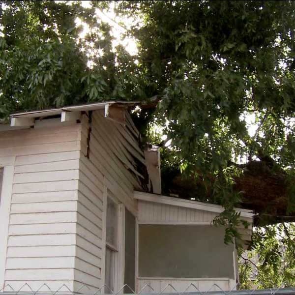 Winds blow tree on house - S.W. OKC Sept. 7