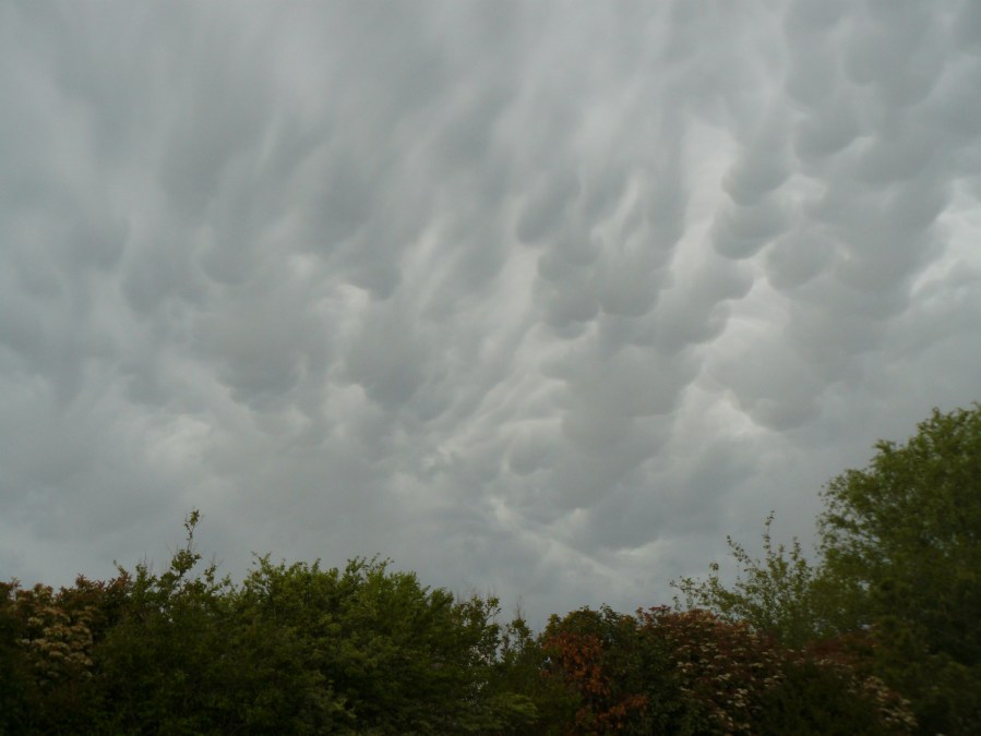 Norman clouds