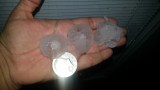 Hail - Carissa Willams