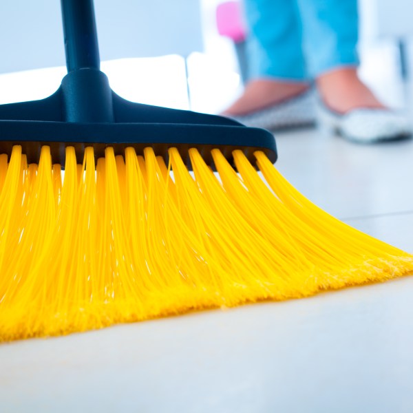 close up picture of yellow broom