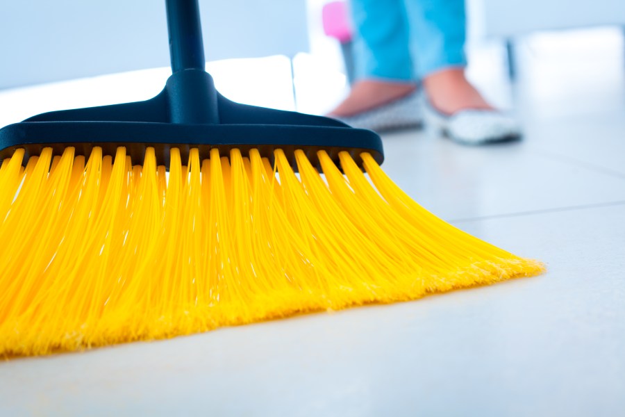 close up picture of yellow broom