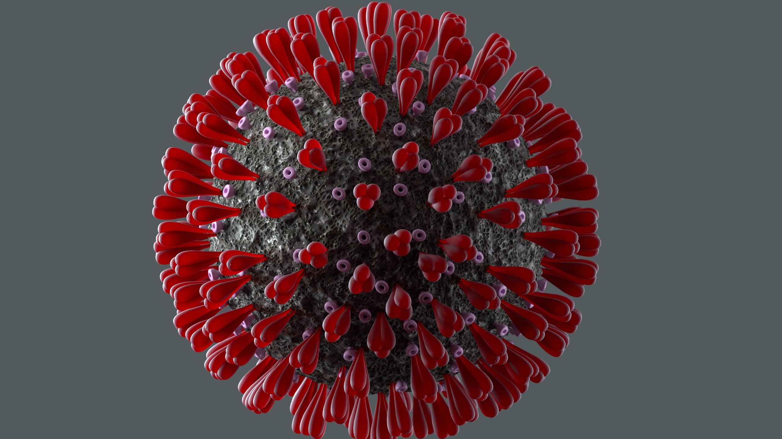 Coronavirus structure