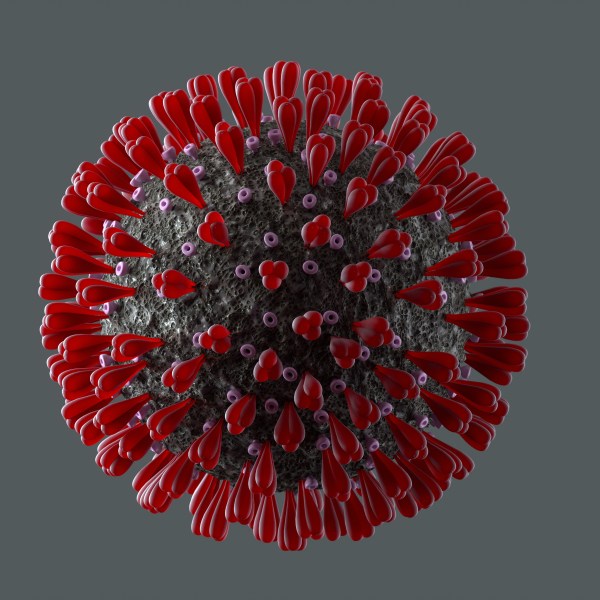 Coronavirus structure