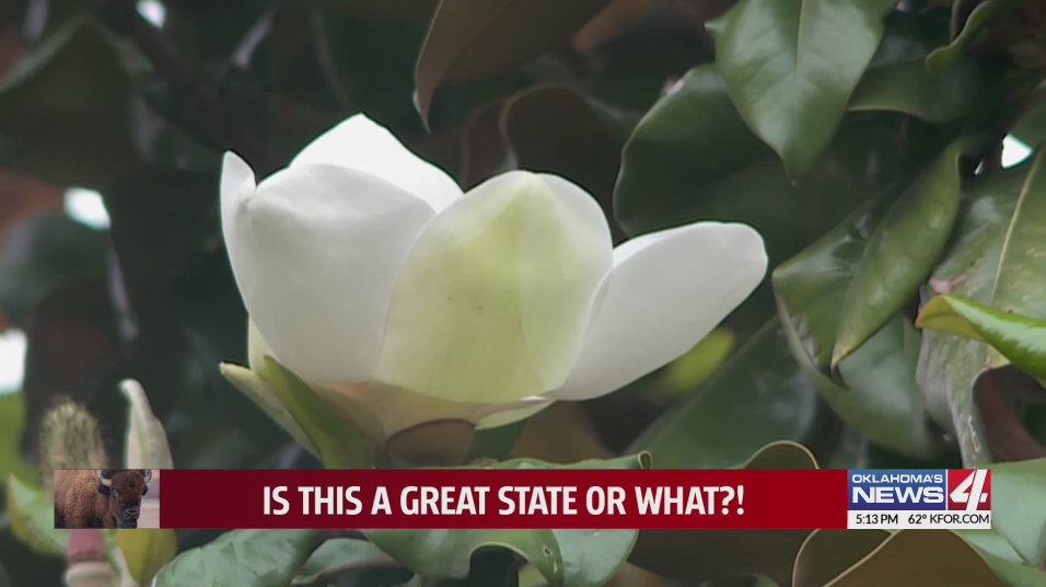 Photo goes with story