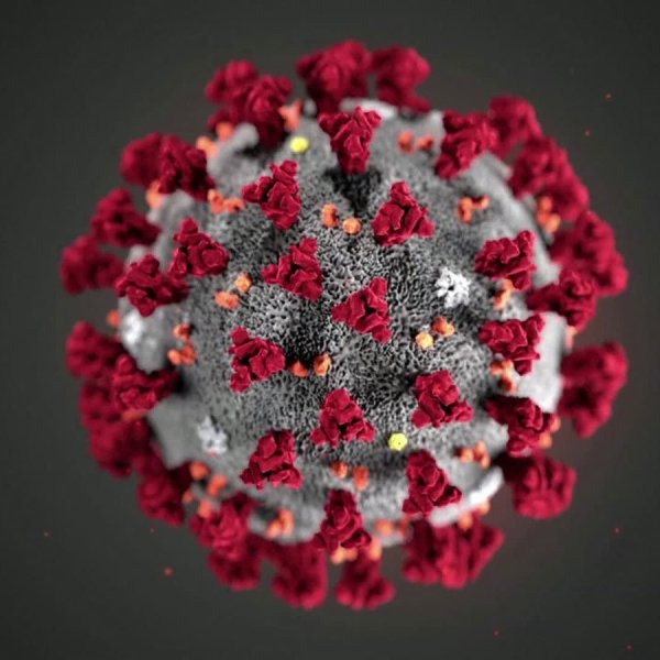 coronavirus model