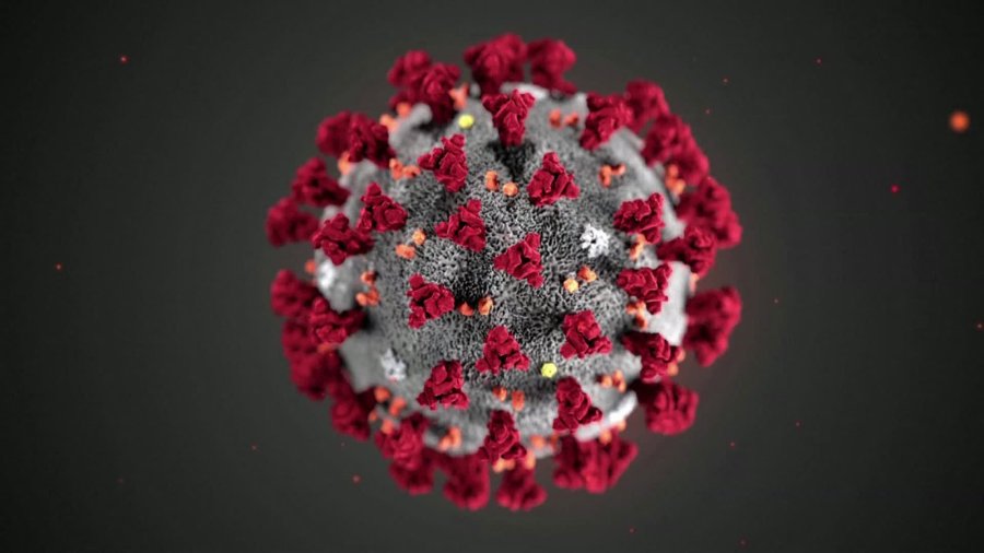 coronavirus model