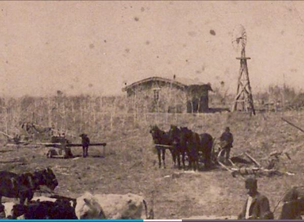 Sod house